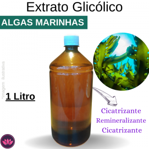 EXTRATO GLICOLICO DE ALGAS MARINHAS 1 LITRO