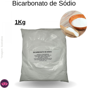 BICARBONATO DE SODIO 1 KG REF.3096T